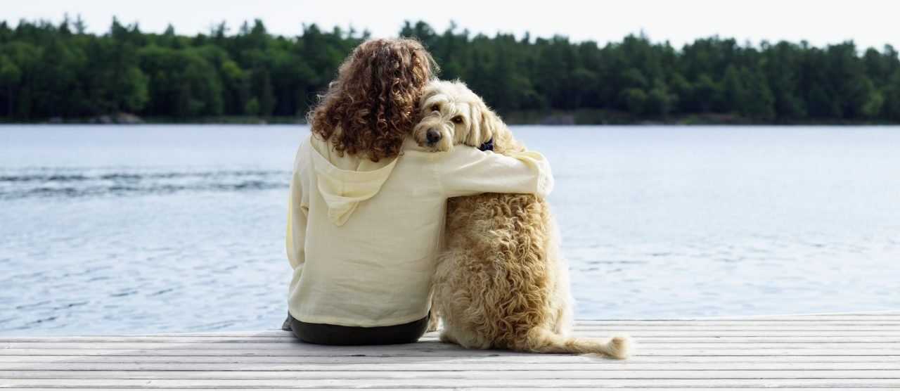 तलाक के मामले में जानवरों का मालिकाना हक किसे मिलेगा?